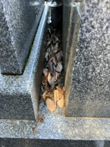 コケ_善衛門_墓石クリーニング_作業前