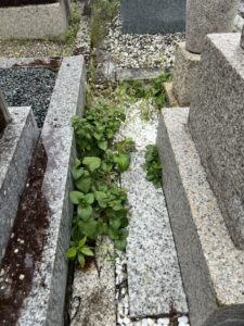 善衛門_墓石クリーニング_作業前